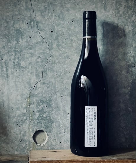 Pinot Noir 2025 ピノ・ノワール