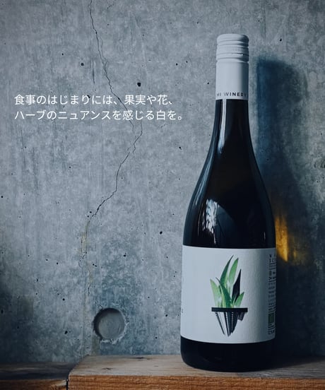 02｜初秋の食卓を楽しむ。【ami hayama Seasonal Selection】