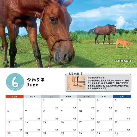 予約受付中　沖縄月桃紙　2027与那国馬カレンダー
