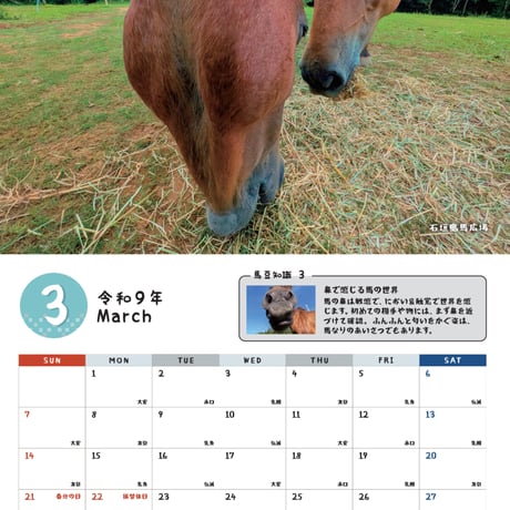 予約受付中　沖縄月桃紙　2027与那国馬カレンダー