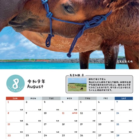 予約受付中　沖縄月桃紙　2027与那国馬カレンダー