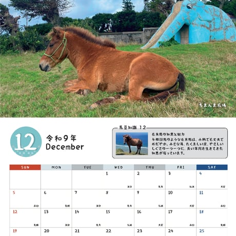 予約受付中　沖縄月桃紙　2027与那国馬カレンダー