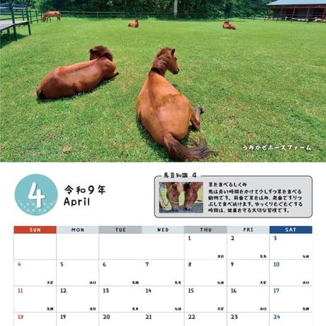 予約受付中　沖縄月桃紙　2027与那国馬カレンダー