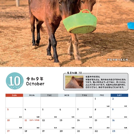 予約受付中　沖縄月桃紙　2027与那国馬カレンダー