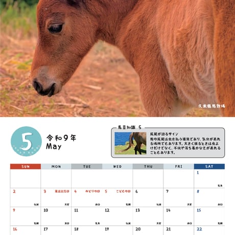 予約受付中　沖縄月桃紙　2027与那国馬カレンダー