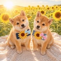 デニム向日葵🌻ストレッチチョーカー／10本