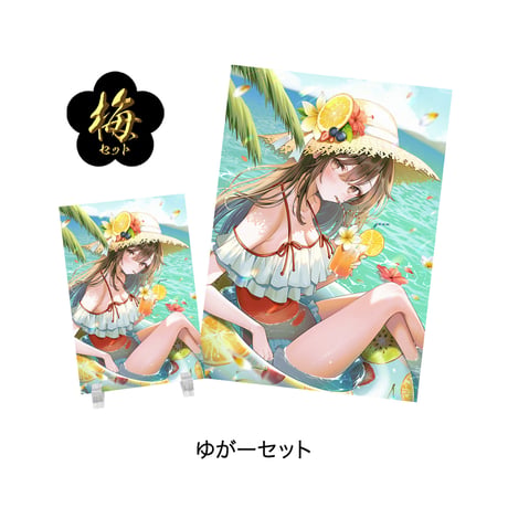 【限定50セット】梅セット【サマコレ2026】