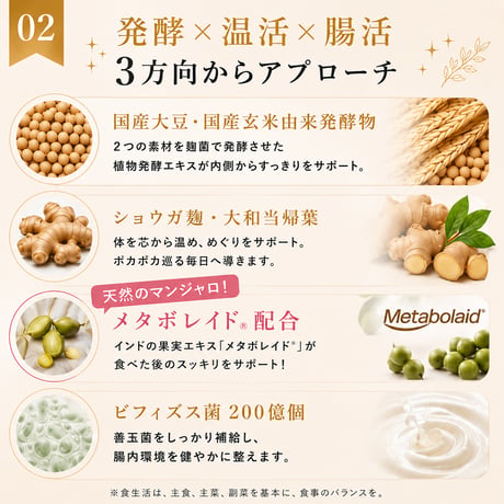 バーニングボーテ４
