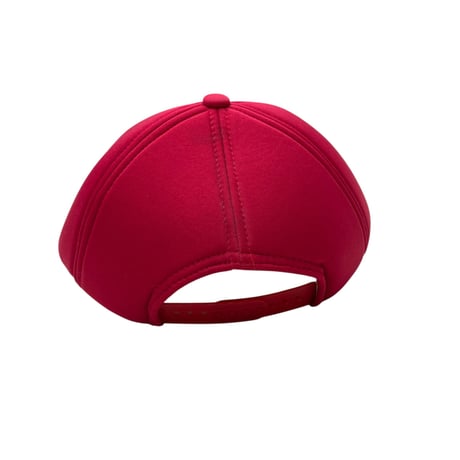 IN-N-OUT Burger Cap