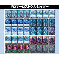 ◆DMデッキ販売 　ドロマーロストクルセイダー