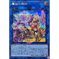 魔救の輝跡[BETB-049]【シークレットレア】