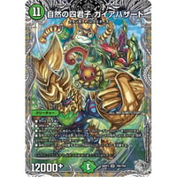 ◆DM 26RP3 - TR6 自然の四君子 ガイアハザード ( TR )