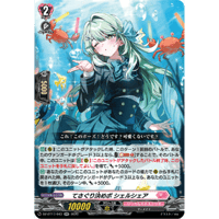 DZ-BT17/043 てさぐり決めポ シェルシェア【RR】