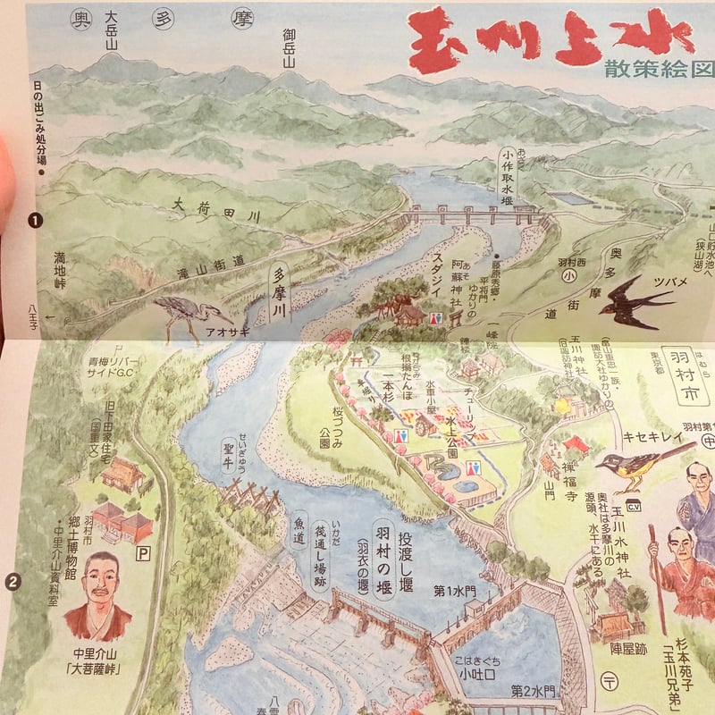 村松昭 散策絵地図「玉川上水」 | もりのこと onlineshop