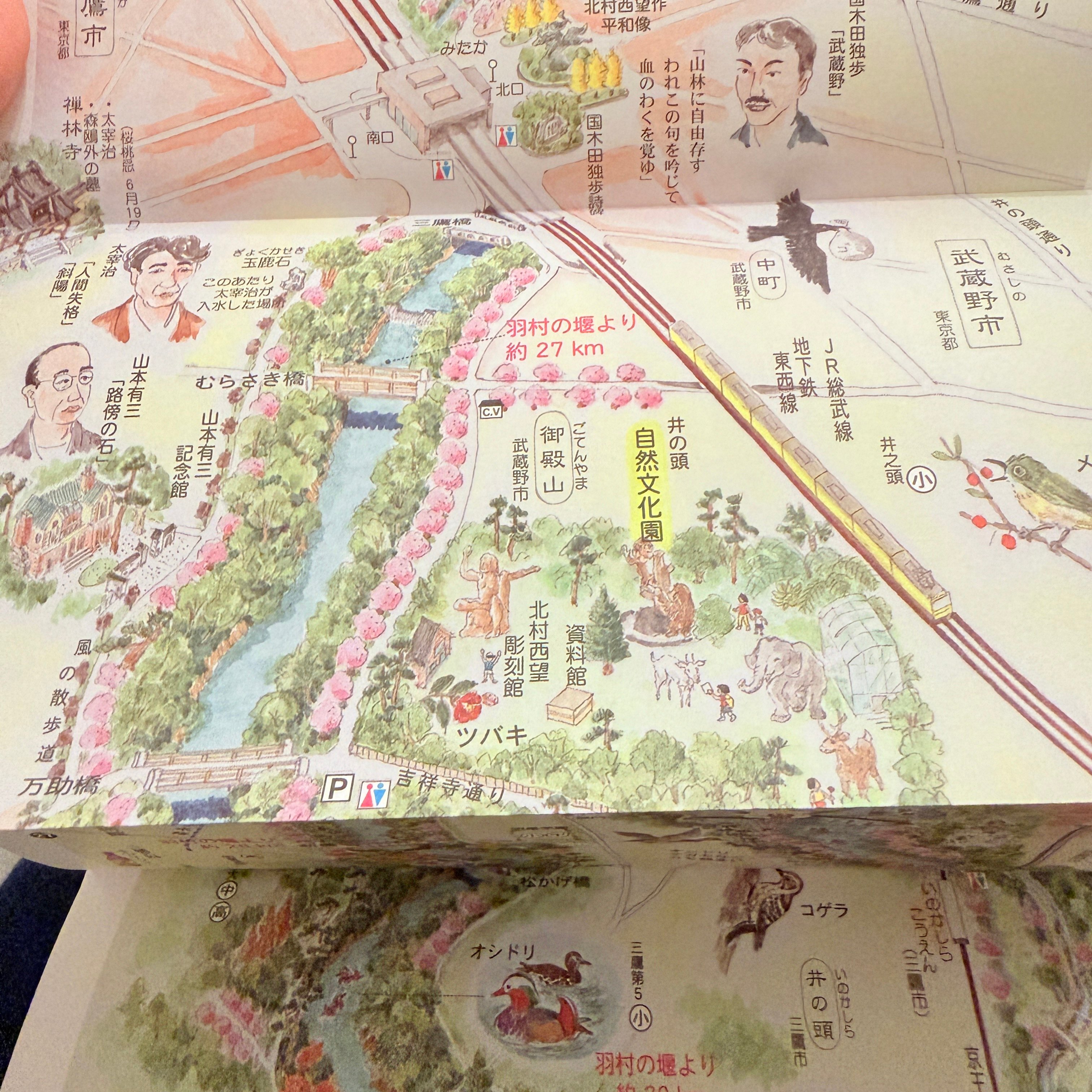 村松昭 散策絵地図「玉川上水」 | もりのこと onlineshop