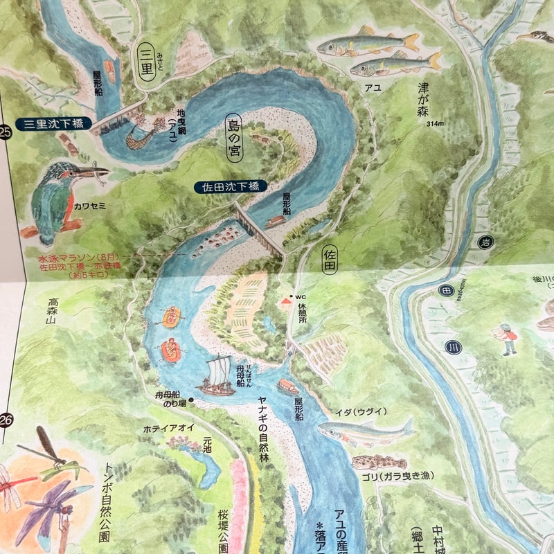 村松昭 散策絵地図「四万十川」 | もりのこと onlineshop