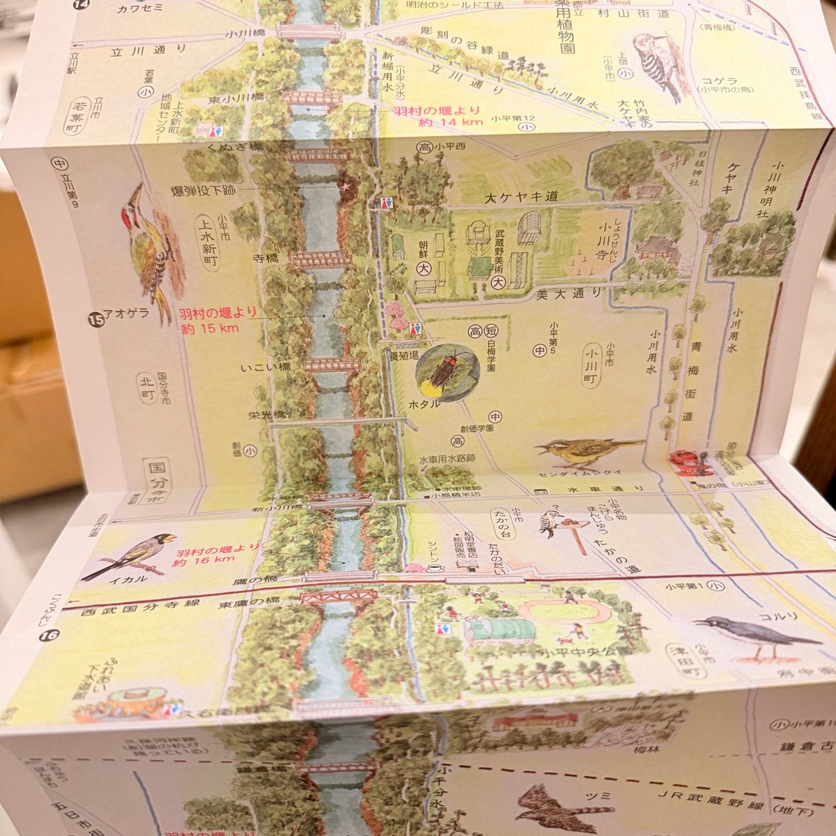 村松昭 散策絵地図「玉川上水」 | もりのこと onlineshop