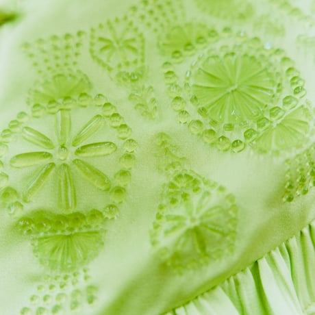 【 ritsu 予約 】 3D-printed Miyazaki fruits blouse -2027年3月～5月発送予定-