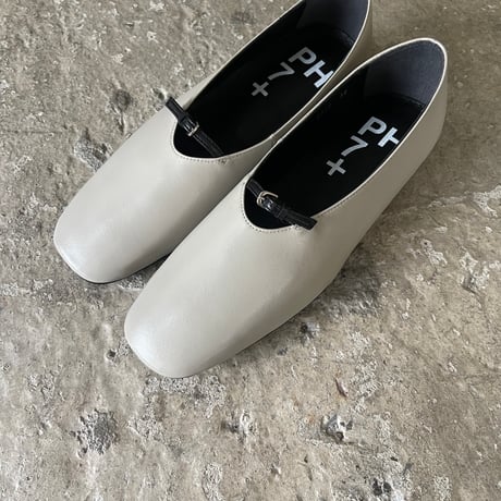 【ph7+】P1F0360 IGY