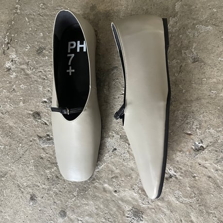 【ph7+】P1F0360 IGY