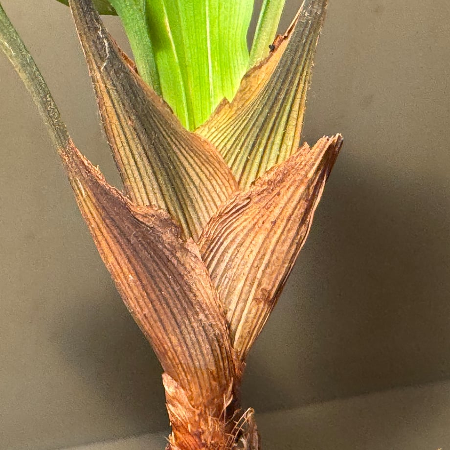 6a8d27104fdf6e3754296362