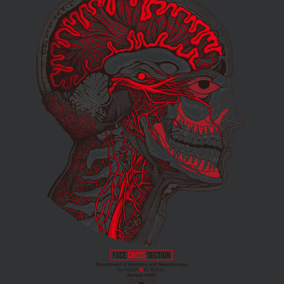 6a6290ebc0e0b8ef1bc5f676