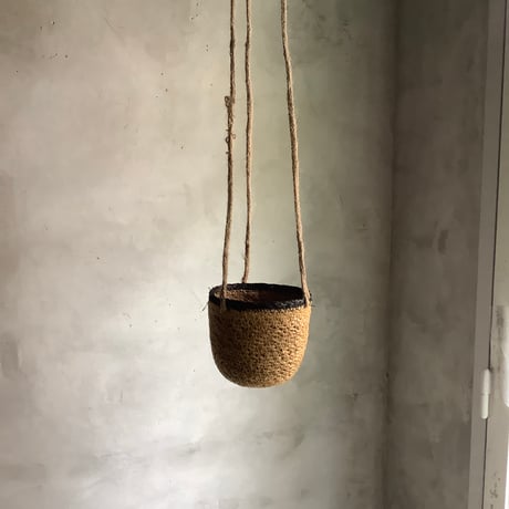 Peperomia angulata with Jute Hanging planter cover (ジュートハンギングカバー付きペペロミア アングラータ)