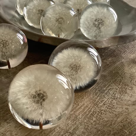 Dandelion Fluff  Paper Weight (タンポポ綿毛のペーパーウェイト）