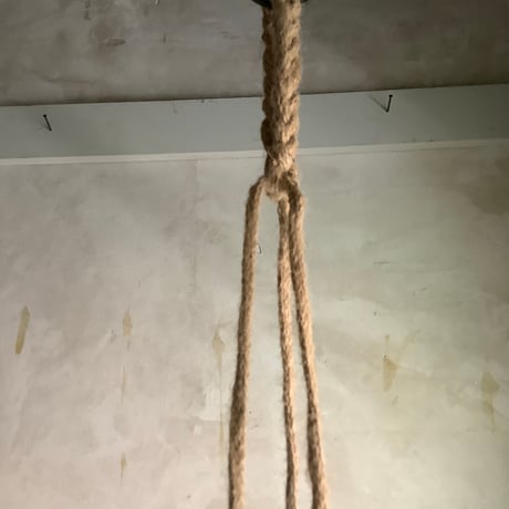 Peperomia angulata with Jute Hanging planter cover (ジュートハンギングカバー付きペペロミア アングラータ)