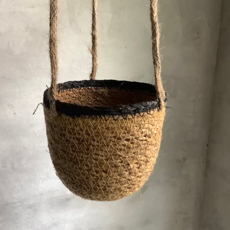 Peperomia angulata with Jute Hanging planter cover (ジュートハンギングカバー付きペペロミア アングラータ)