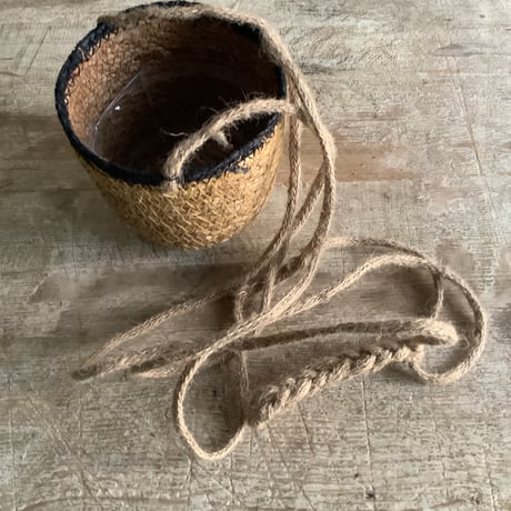 Peperomia angulata with Jute Hanging planter cover (ジュートハンギングカバー付きペペロミア アングラータ)