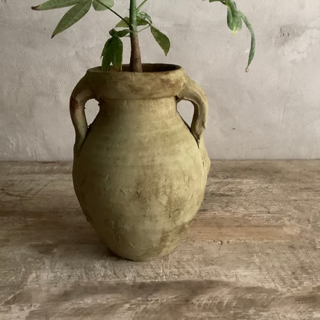 Pachira Milkyway mini with Tunisia pot/"2"Type (チュニジアポットシリーズ・パキラ"ミルキーウェイ"ミニ A/B 2タイプ)