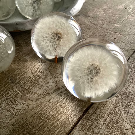 Dandelion Fluff  Paper Weight (タンポポ綿毛のペーパーウェイト）