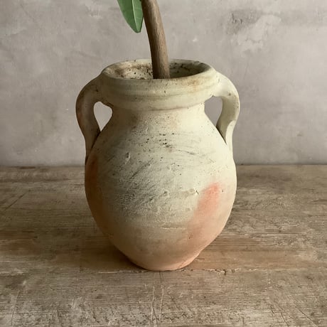 Pachira mini with Tunisia pot/"2"Type (チュニジアポットシリーズ・パキラ ミニ A/B 2タイプ)