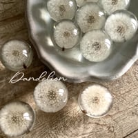 Dandelion Fluff  Paper Weight (タンポポ綿毛のペーパーウェイト）