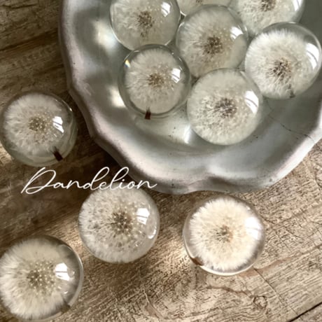 Dandelion Fluff  Paper Weight (タンポポ綿毛のペーパーウェイト）