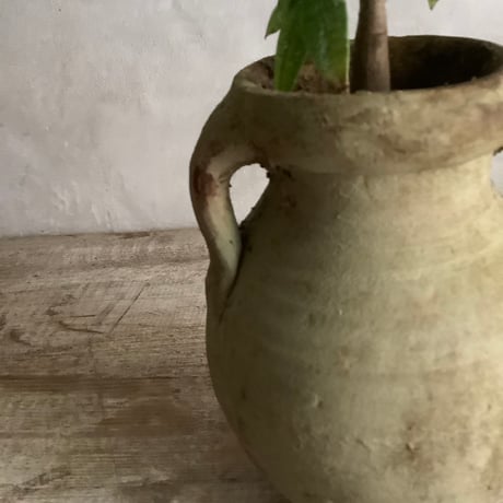 Pachira Milkyway mini with Tunisia pot/"2"Type (チュニジアポットシリーズ・パキラ"ミルキーウェイ"ミニ A/B 2タイプ)