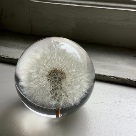 Dandelion Fluff  Paper Weight (タンポポ綿毛のペーパーウェイト）