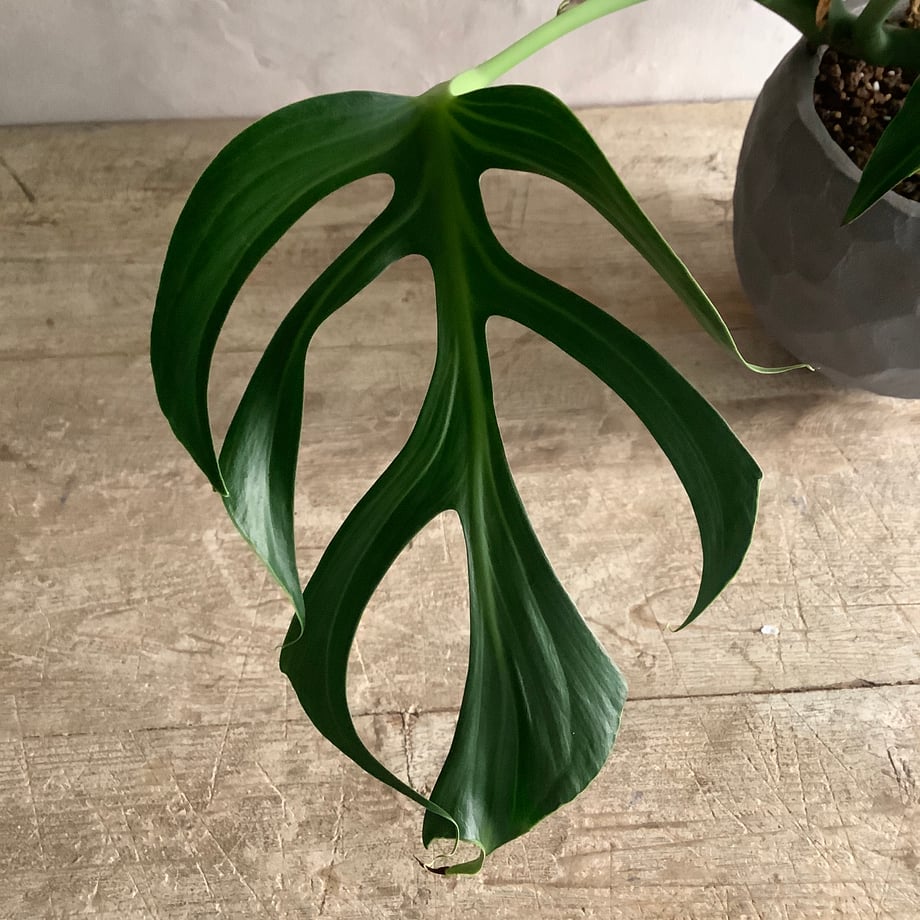 6a6d26b9bf7b8f73fe96da98