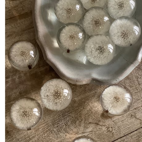Dandelion Fluff  Paper Weight (タンポポ綿毛のペーパーウェイト）