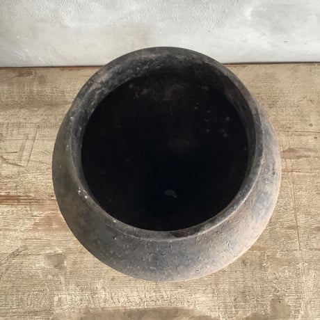 Schindapsus picts”Trebie" with Vintage Goblet Black Planter cover (ヴィンテージミュール鉢カバー付きスキンダプサス・トレビー)