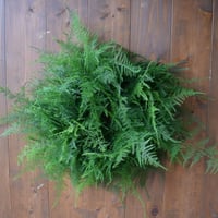 野の花屋　アスパラのリース