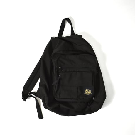 USED "EDDIE BAUER" BACK PACK