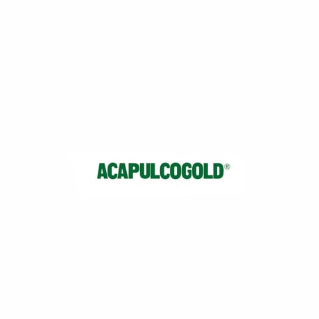 ACAPULCO GOLD / BIG POPPA TEE(2colors)