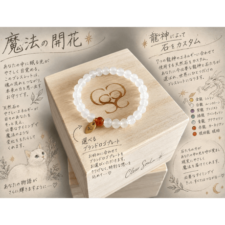 【限定】premiumコンサル×龍神セット