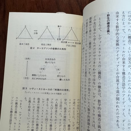 【古本】レヴィ＝ストロース入門