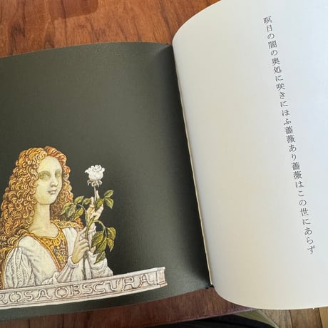 忘却術　The Art for Oblivion