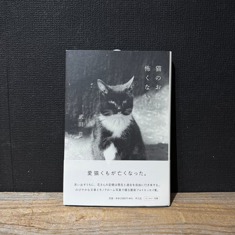 【古本】猫のお化けは怖くない