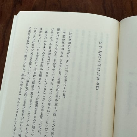 【古本】漢詩の手帖　いつかたこぶねになる日