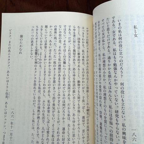 人生について　日記抄